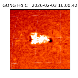 gong - 2026-02-03T16:00:42