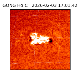 gong - 2026-02-03T17:01:42
