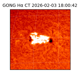 gong - 2026-02-03T18:00:42