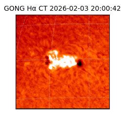 gong - 2026-02-03T20:00:42