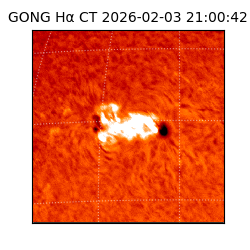 gong - 2026-02-03T21:00:42