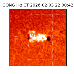 gong - 2026-02-03T22:00:42