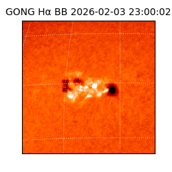 gong - 2026-02-03T23:00:02