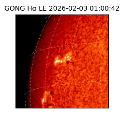 gong - 2026-02-03T01:00:42