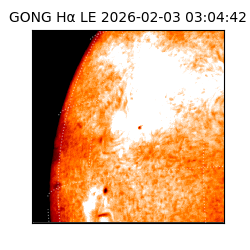 gong - 2026-02-03T03:04:42