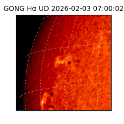 gong - 2026-02-03T07:00:02