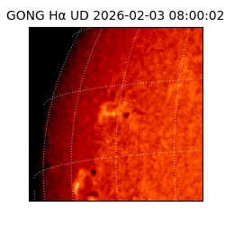 gong - 2026-02-03T08:00:02