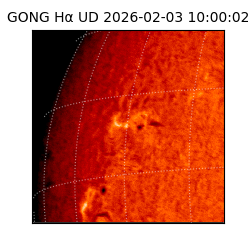 gong - 2026-02-03T10:00:02