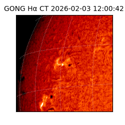 gong - 2026-02-03T12:00:42