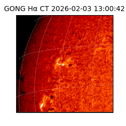 gong - 2026-02-03T13:00:42