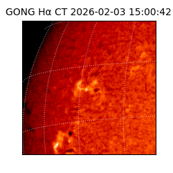 gong - 2026-02-03T15:00:42