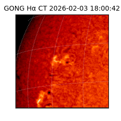 gong - 2026-02-03T18:00:42