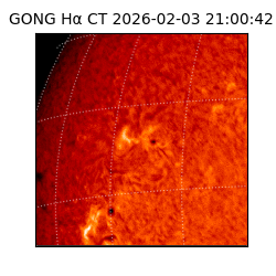gong - 2026-02-03T21:00:42
