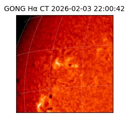 gong - 2026-02-03T22:00:42
