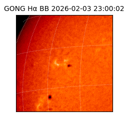 gong - 2026-02-03T23:00:02