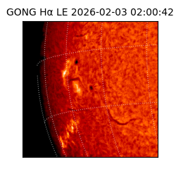 gong - 2026-02-03T02:00:42