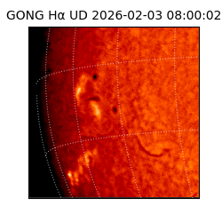 gong - 2026-02-03T08:00:02