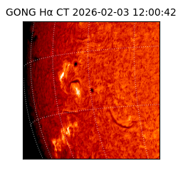 gong - 2026-02-03T12:00:42