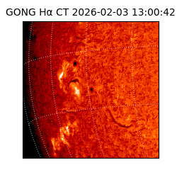 gong - 2026-02-03T13:00:42