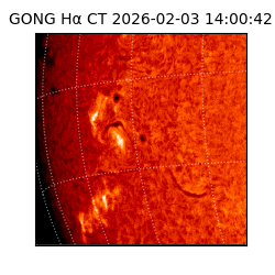 gong - 2026-02-03T14:00:42