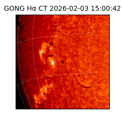 gong - 2026-02-03T15:00:42