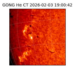 gong - 2026-02-03T19:00:42