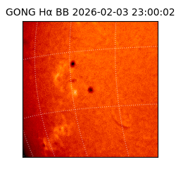 gong - 2026-02-03T23:00:02