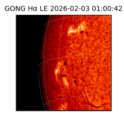 gong - 2026-02-03T01:00:42
