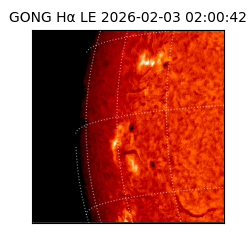 gong - 2026-02-03T02:00:42