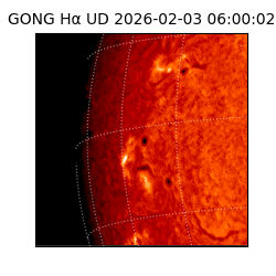 gong - 2026-02-03T06:00:02