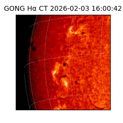 gong - 2026-02-03T16:00:42