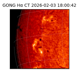 gong - 2026-02-03T18:00:42
