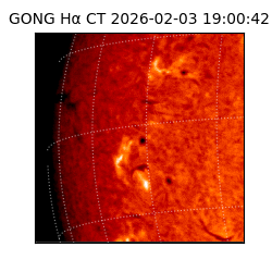 gong - 2026-02-03T19:00:42
