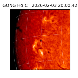 gong - 2026-02-03T20:00:42