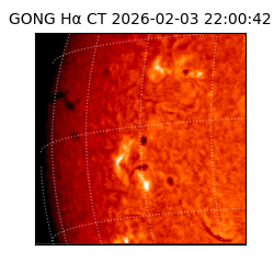 gong - 2026-02-03T22:00:42
