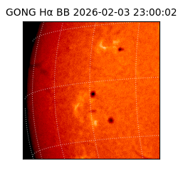 gong - 2026-02-03T23:00:02