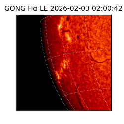 gong - 2026-02-03T02:00:42