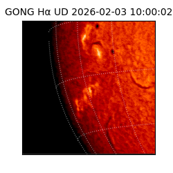 gong - 2026-02-03T10:00:02