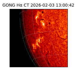 gong - 2026-02-03T13:00:42