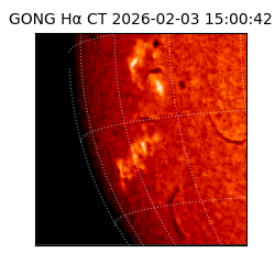 gong - 2026-02-03T15:00:42