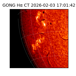 gong - 2026-02-03T17:01:42