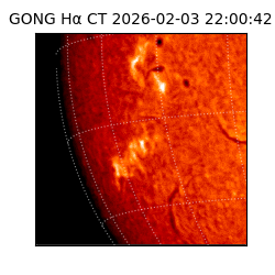 gong - 2026-02-03T22:00:42