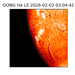 gong - 2026-02-03T03:04:42