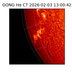 gong - 2026-02-03T13:00:42