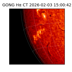 gong - 2026-02-03T15:00:42