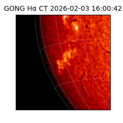 gong - 2026-02-03T16:00:42