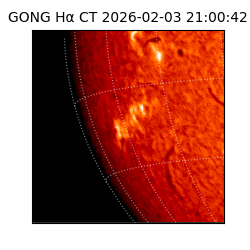 gong - 2026-02-03T21:00:42