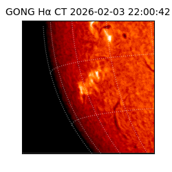 gong - 2026-02-03T22:00:42