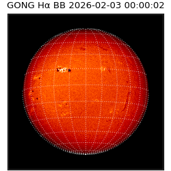 gong - 2026-02-03T00:00:02