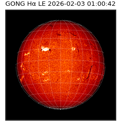 gong - 2026-02-03T01:00:42